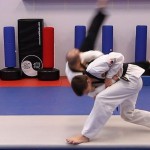 Taekwondo mat factory with high cost performance