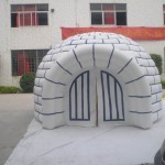 Outdoor air dome tent for party in your unique style