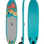 Fish surfboard mordern softech design low price