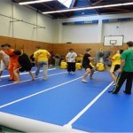 wholesale inflatable Taekwondo gym mats airfloor track