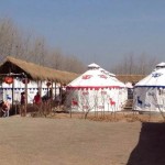 8 Meter Restaurant Mongolian ger yurt factory price