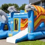 Buy Ocean Theme Iflatable Bouncy Castle factory wholesale price