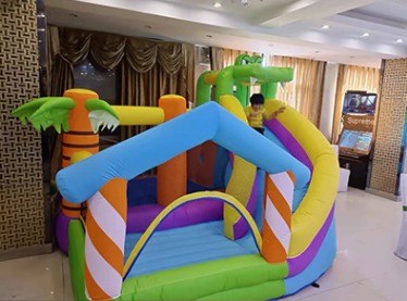 Small family birthday party bouncy castle