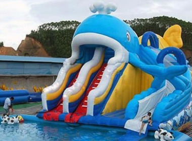ocean park bouncy castle for sale